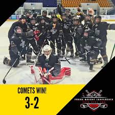 Image result for Cardiff Comets Ladies Ice Hockey