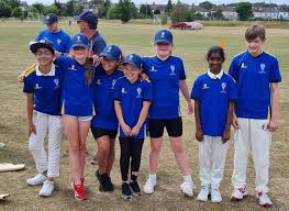 Image result for Chingford Cricket Club