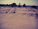 WOODWARD MTB Park in Fresno