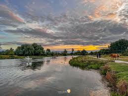 Image result for Isle Of Ely Rowing Club