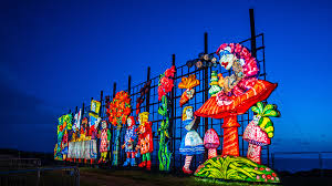 Image result for Blackpool Lights Basketball Club