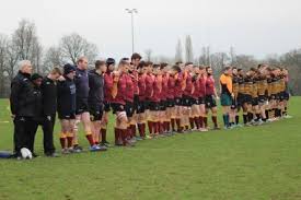 Image result for Wellingborough Rfc