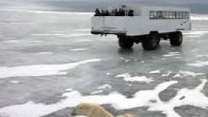 Image result for tundra buggy