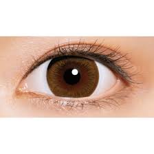 「ワンデーアキュビューディファインモイスト」の画像検索結果