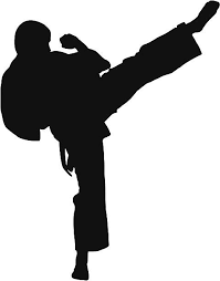 Image result for Kyoku Kenjutsu Kai