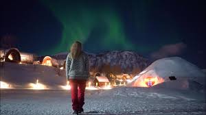 「イルミンガルド・スノーレヴィク」の画像検索結果