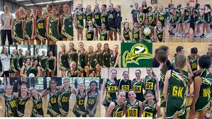 Image result for Shrivenham Netball Club