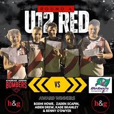 Image result for Runnymede Bowls League