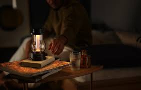 Attēlu rezultāti vaicājumam “Lamproderma debile”