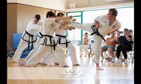 Image result for Kees Tae Kwon Do
