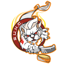 Image result for Stirling University Underwater Hockey Club