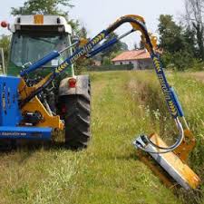 Image result for marolin tehron