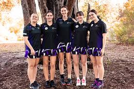 Image result for Chipping Sodbury Netball Club