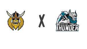 Image result for Milton Keynes Thunder