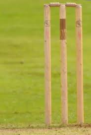 Image result for Wilmslow Wayfarers Cricket Club
