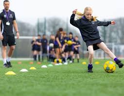 Image result for Chertsey Cricket Club