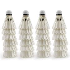 Image result for Shuttlecocks Badminton Club