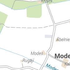 Attēlu rezultāti vaicājumam “Hemitrichia sordivesiculosa spores”