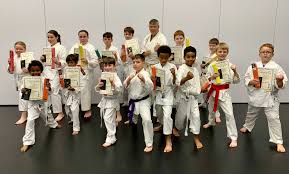Image result for TIVERTON SHOTOKAN KARATE CLUB