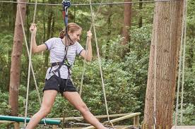 Image result for Go Ape! Thetford