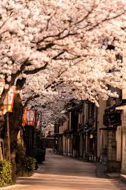 Image result for 主計町