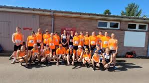 Image result for Wee County Harriers