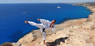 Image result for Bytomic Tae Kwon Do Bracknell