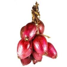 Image result for Zwiebeln