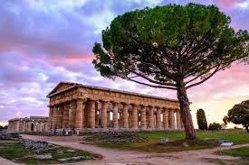 Image result for paestum