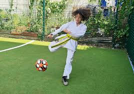 Image result for Kicking Dragon Kung Fu School, Belfast