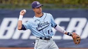 Image result for Penarth Bowmen