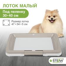 Картинки по запросу малый