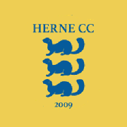 Image result for Saltwood Cricket Club