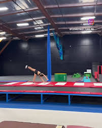 Image result for flip and twist