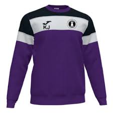 Image result for Ponteland Netball Club