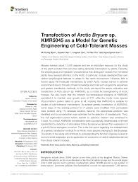 Attēlu rezultāti vaicājumam “Bryum amblyodon sporophyte”