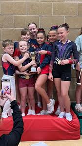 Image result for Edgbarrow Trampoline Club