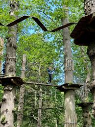 Image result for Go Ape! Leeds Castle