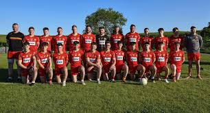 Image result for An Riocht Gaa Club