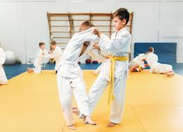 Image result for Redhill Karate Association