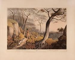 Image result for Shooting, Hunting, Fieldsports on Art prints from 1700's to 1900's