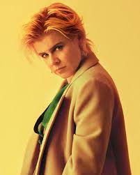 Image result for robyn