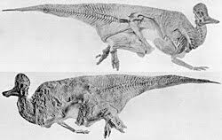 Bildergebnis für corythosaurus