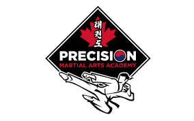 Image result for Precision Martial Arts