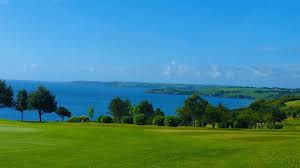 Image result for Falmouth and Helston Octopush Club