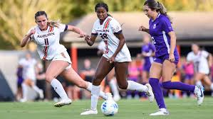 Image result for Erin`s Own Gaelic Athletic & Social Club