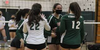 Image result for York University Volleyball Club