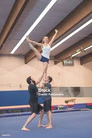 Image result for Elements Acro