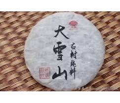 Image result for 2009早春