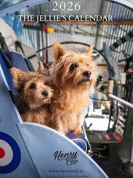 Image result for Killamarsh Mayhem